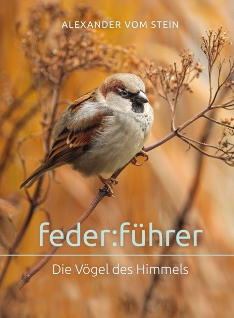 Feder:Führer